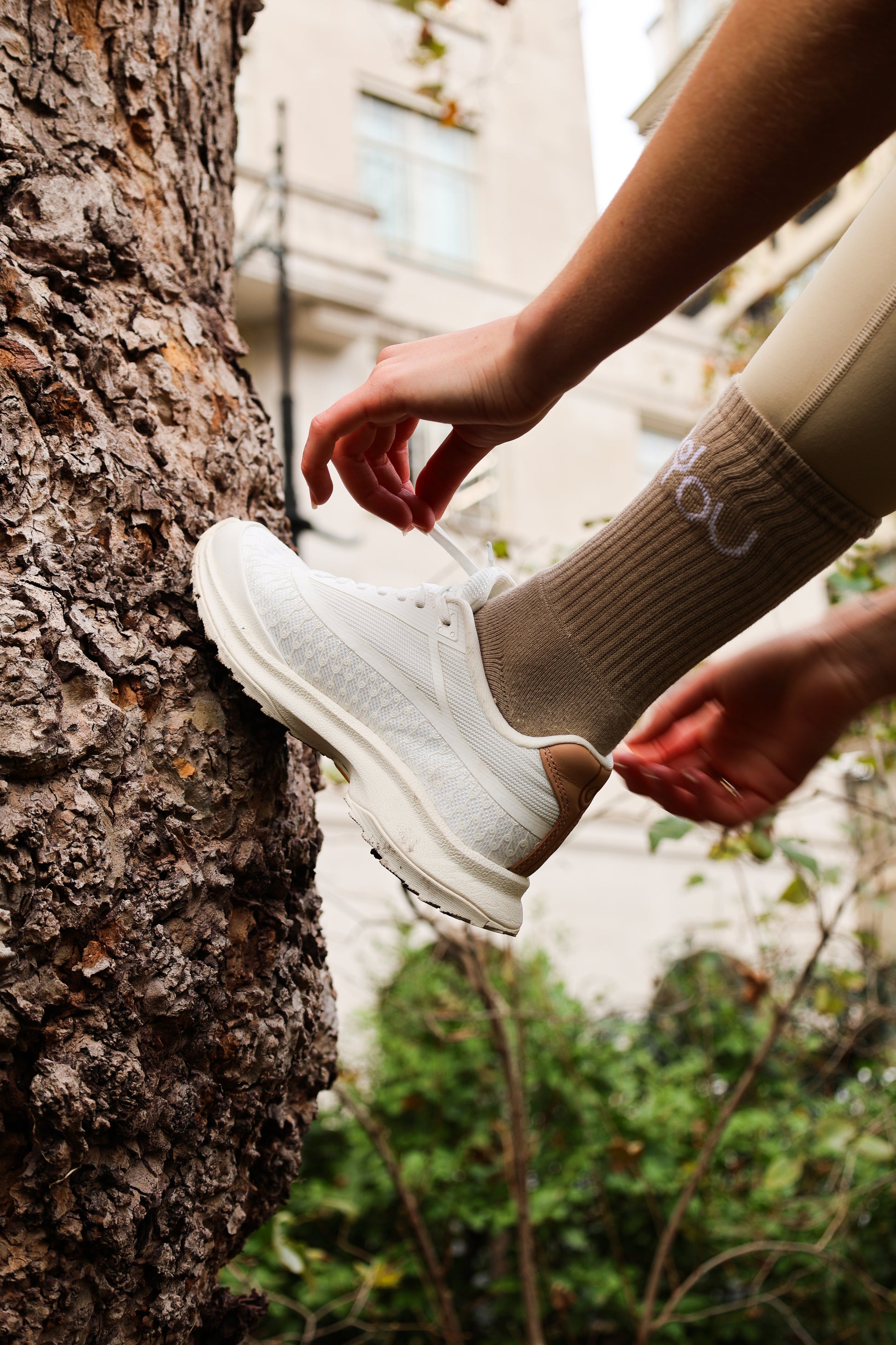 YOU logo 3 pack Socks | Barley