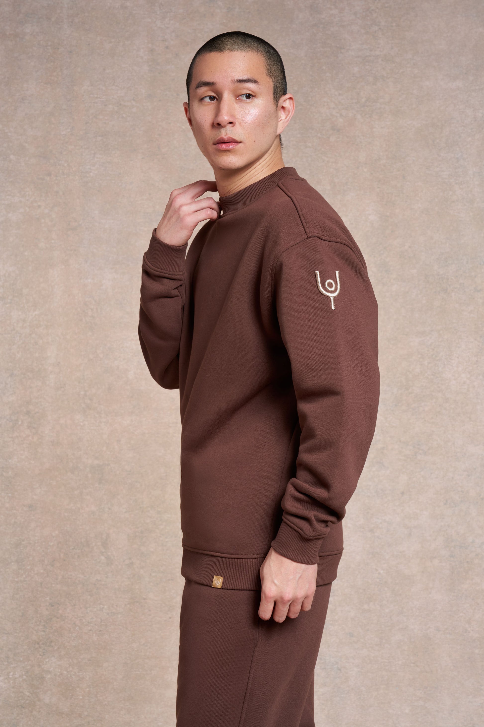 Pleatling Sweatshirt | potting soil