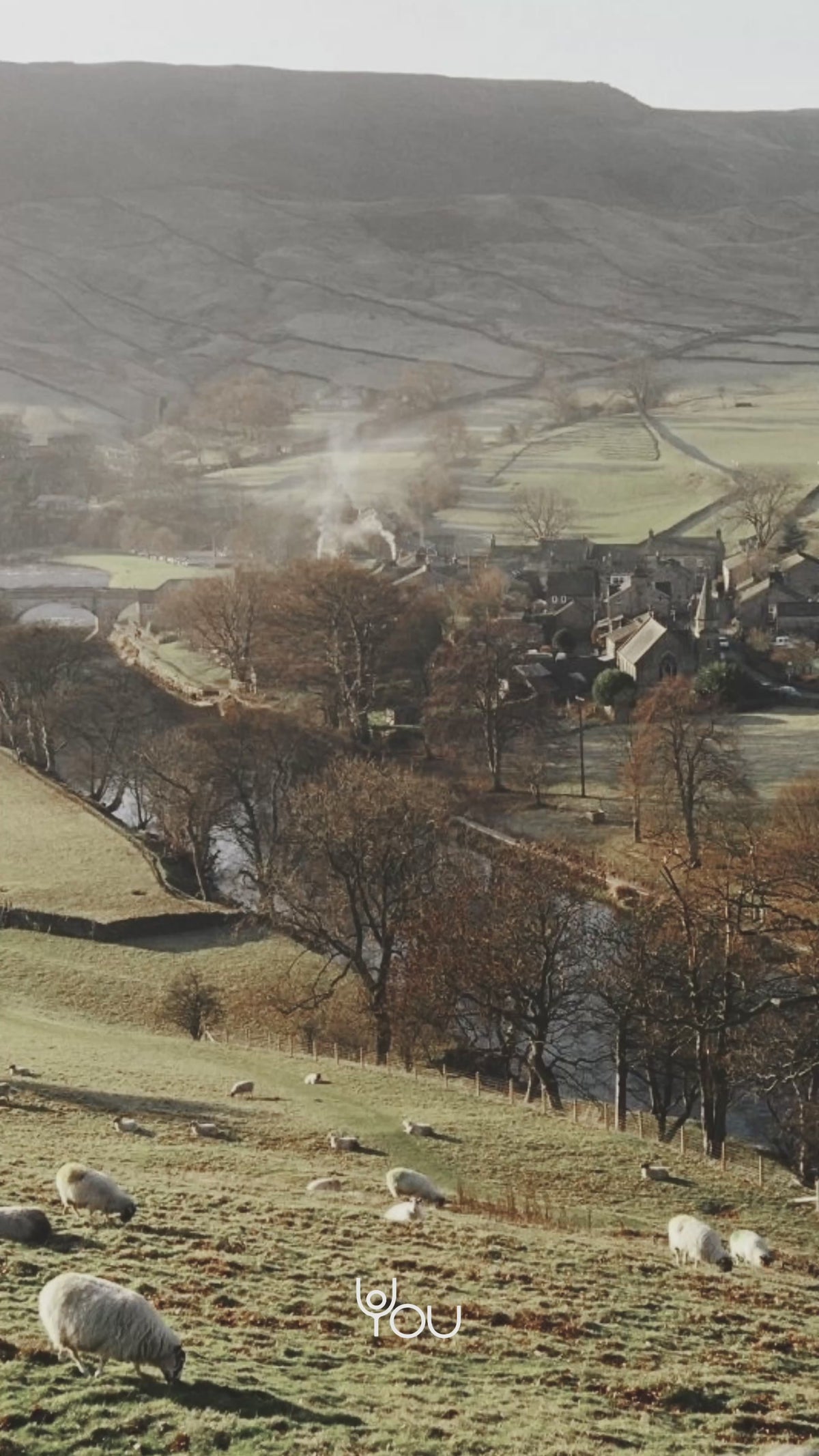 Barley: a green valley with sheep grazing above a village