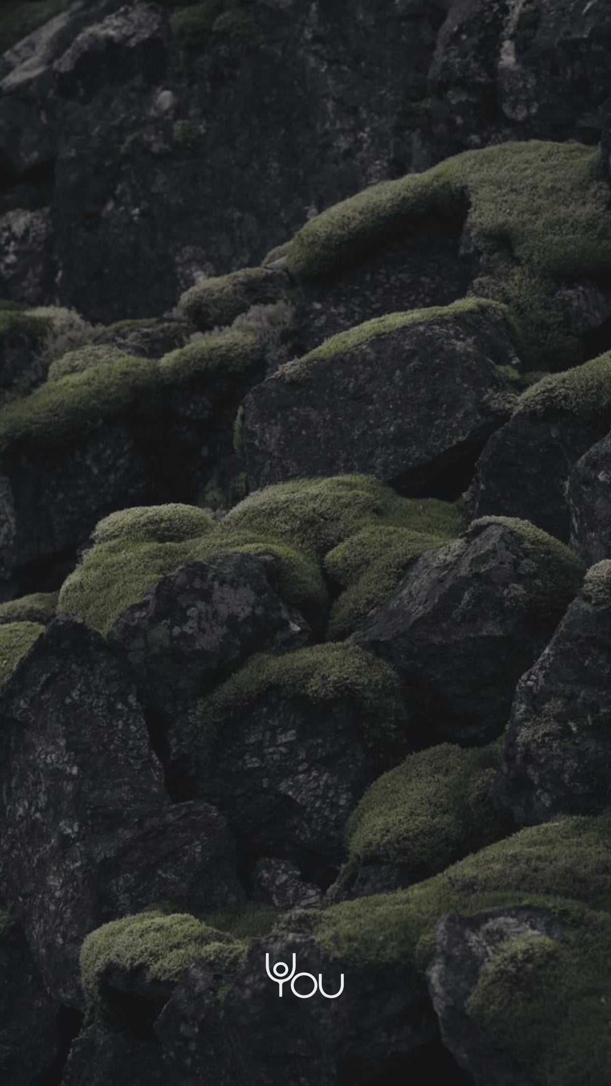 Black: dark rocks covered in moss